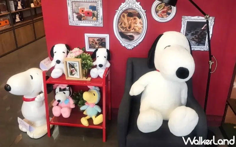 六月初一.8結蛋捲 史努比70周年聯名禮盒 / WalkerLand窩客島提供 未經許可，不得轉載