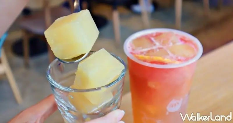 ICE MONSTER / WalkerLand窩客島提供 未經許可，不得轉載