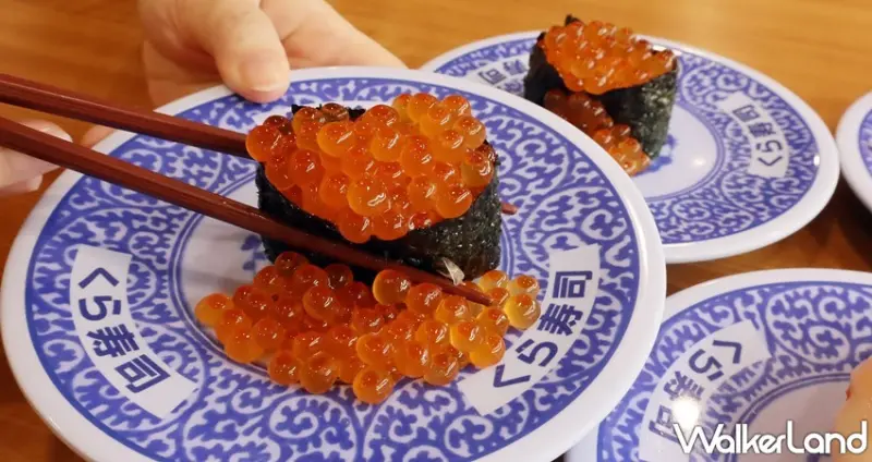 藏壽司 鮭魚祭 / WalkerLand窩客島提供 未經許可，不得轉載