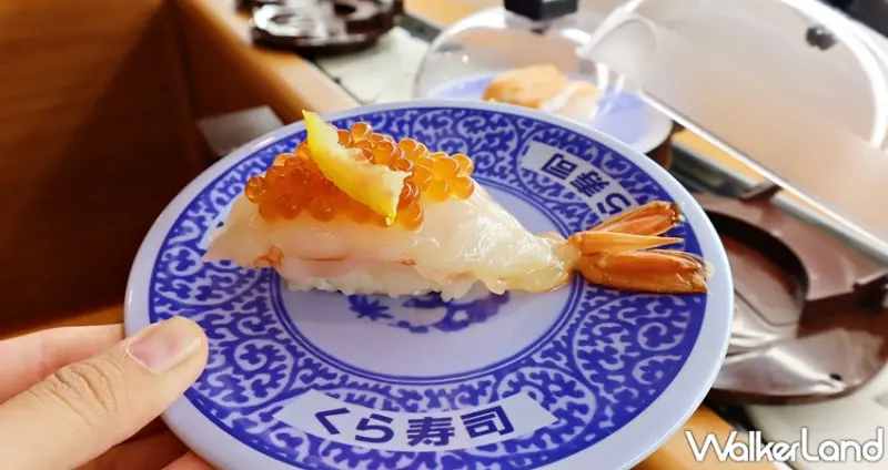 藏壽司 鮭魚祭 / WalkerLand窩客島提供 未經許可，不得轉載