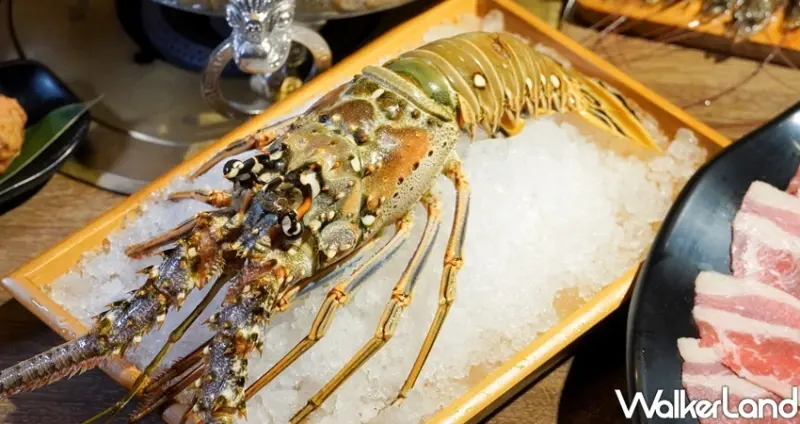 父親節優惠「問鼎皇上吉祥。宮廷火鍋」/ WalkerLand窩客島整理提供 未經許可不可轉載