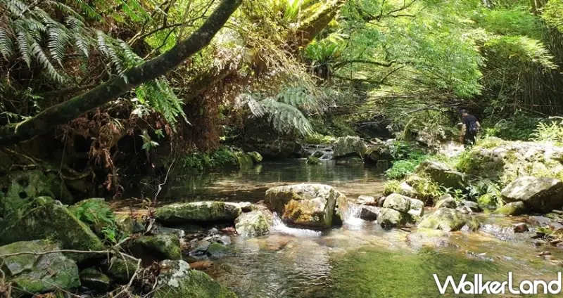 新北11條海景步道、森林系步道 / WalkerLand窩客島整理提供 未經許可不可轉載