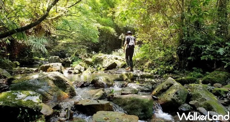 新北11條海景步道、森林系步道 / WalkerLand窩客島整理提供 未經許可不可轉載