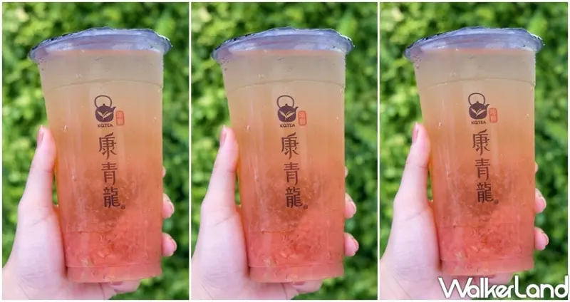 康青龍 / WalkerLand窩客島整理提供 未經許可不可轉載