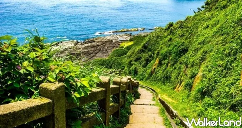 新北11條海景步道、森林系步道 / WalkerLand窩客島整理提供 未經許可不可轉載