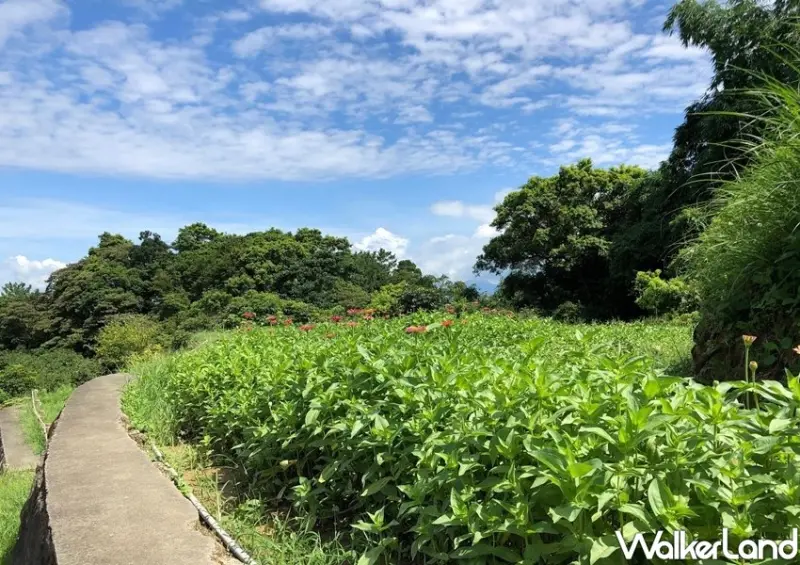 貓空纜車 / WalkerLand窩客島整理提供 未經許可不可轉載