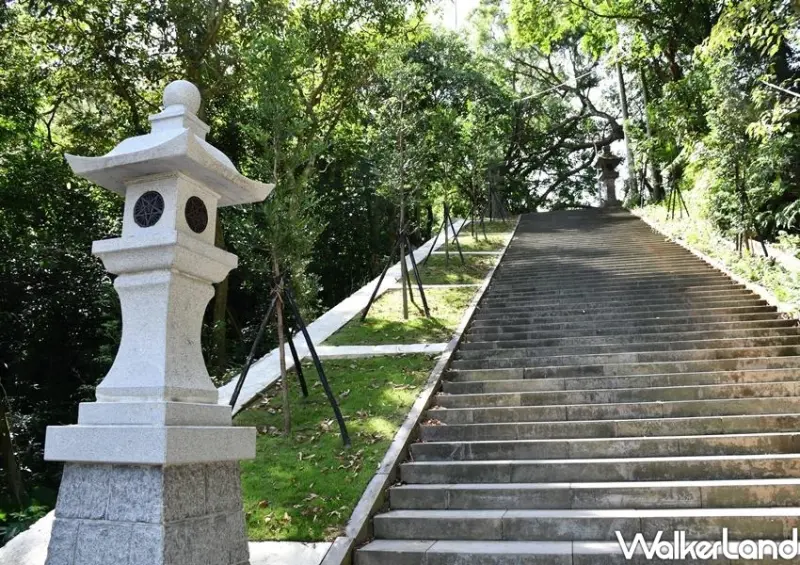 台北千階竹柏步道「指南宮竹柏參道」 / WalkerLand窩客島整理提供 未經許可不可轉載