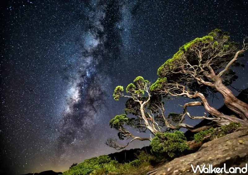 合歡山暗空公園「星空音樂會」/ WalkerLand窩客島整理提供 未經許可不可轉載