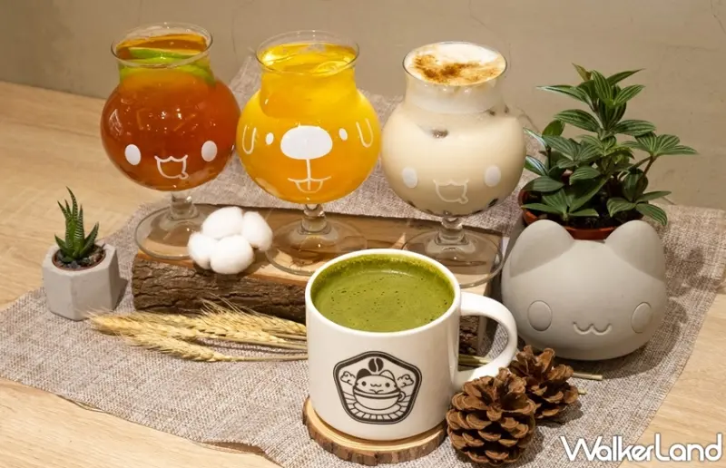 貓貓蟲咖波 / WalkerLand窩客島提供 未經許可，不得轉載