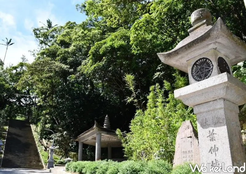 台北千階竹柏步道「指南宮竹柏參道」 / WalkerLand窩客島整理提供 未經許可不可轉載