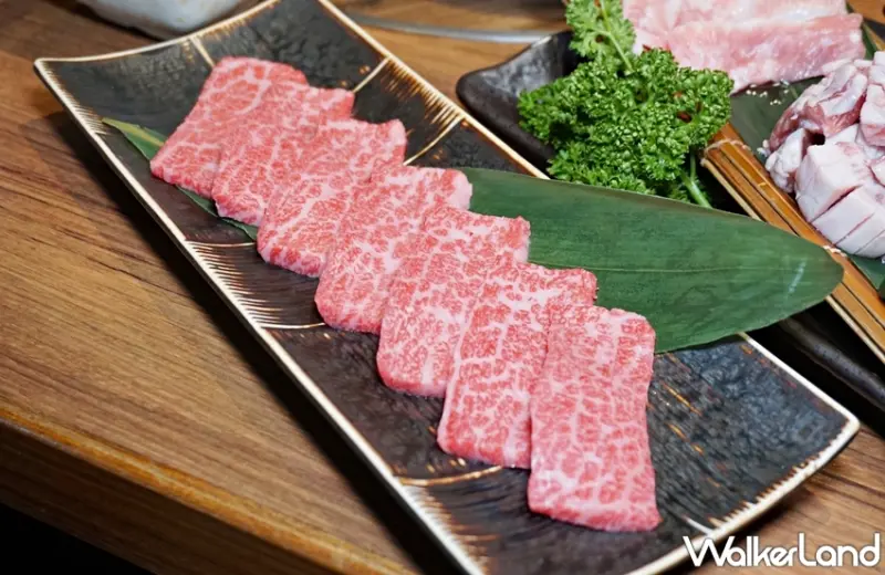 乾杯 / WalkerLand窩客島提供 未經許可，不得轉載 