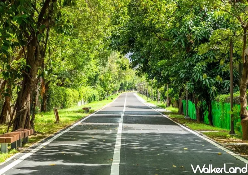 桃園人新景點「蓄光石星光步道」/ WalkerLand窩客島整理提供 未經許可不可轉載