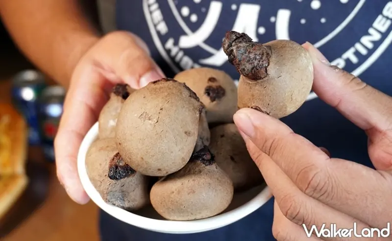 必勝客  / WalkerLand窩客島提供 未經許可，不得轉載