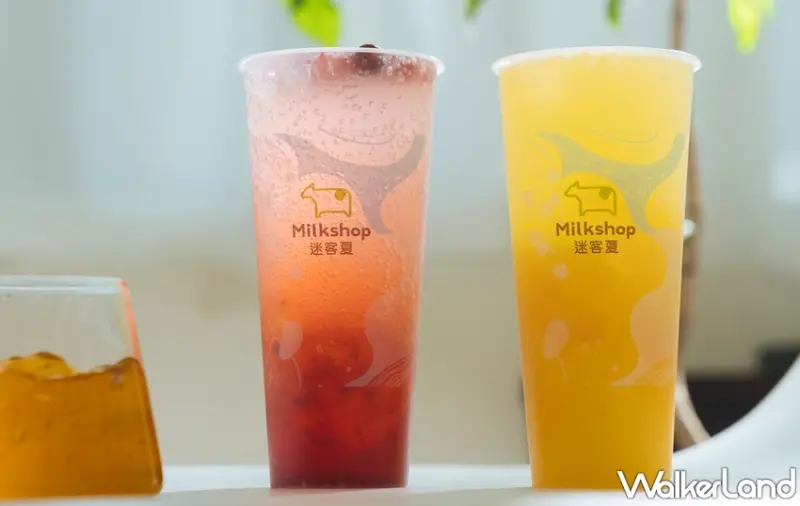 迷客夏 / WalkerLand窩客島提供 未經許可，不得轉載