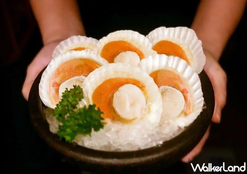 三陸灣生蠔活動 / WalkerLand窩客島整理提供 未經許可，不得轉載