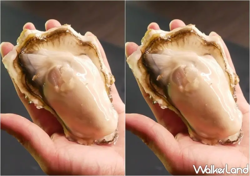 三陸灣生蠔活動 / WalkerLand窩客島整理提供 未經許可，不得轉載