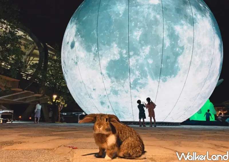 宜蘭冬山「月亮什麼冬冬」、A.maze兔子迷宮「摘月」/ WalkerLand窩客島整理提供 未經許可不可轉載