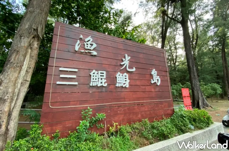 2020國慶煙火 / WalkerLand窩客島提供 未經許可，不得轉載