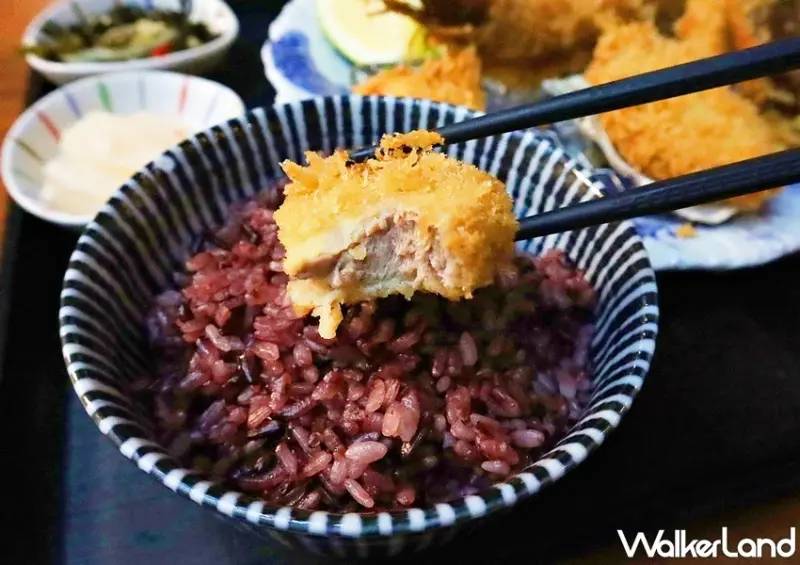 杏子豬排  / WalkerLand窩客島提供 未經許可，不得轉載