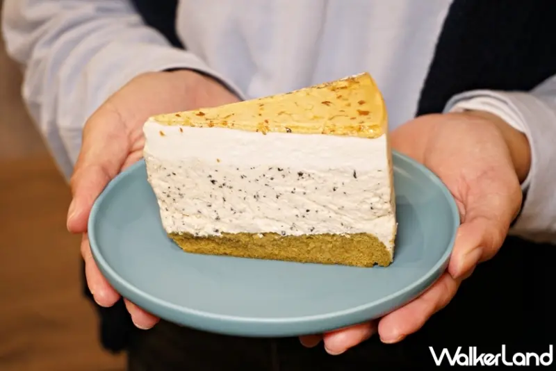 創義麵 / WalkerLand窩客島提供 未經許可，不得轉載