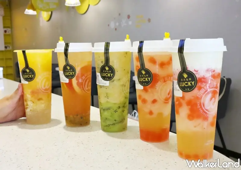 TrueWin初韻 / WalkerLand窩客島提供 未經許可，不得轉載