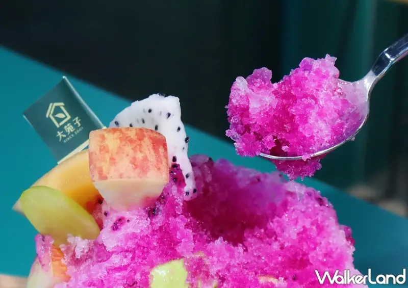 大苑子新品 / WalkerLand窩客島提供 未經許可，不得轉載