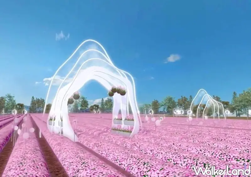 2020桃園仙草花節「微見仙境」 / WalkerLand窩客島整理提供 未經許可不可轉載