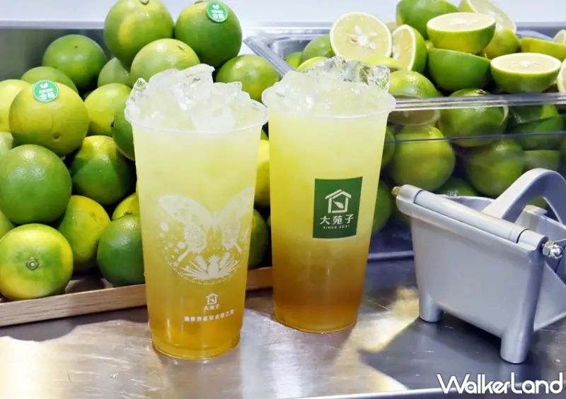 大苑子新品 / WalkerLand窩客島提供 未經許可，不得轉載