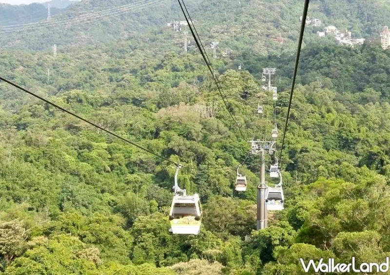 台北貓空景點 / WalkerLand窩客島整理提供 未經許可不可轉載