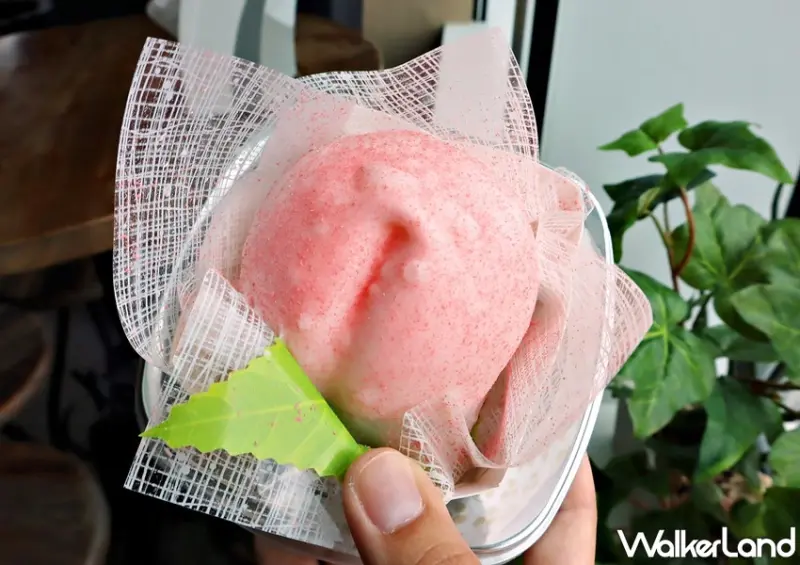 台北101觀景台 / WalkerLand窩客島整理提供 未經許可，不得轉載