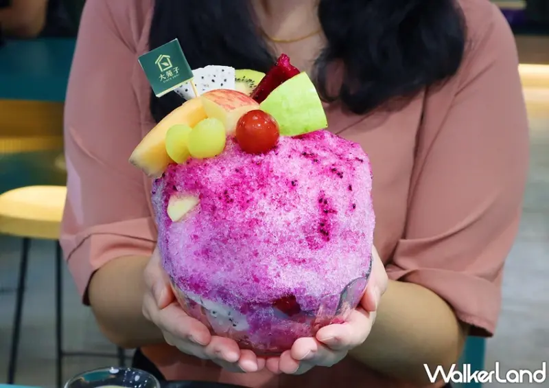 大苑子新品 / WalkerLand窩客島提供 未經許可，不得轉載