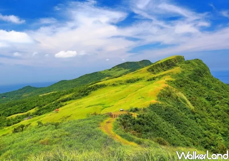 新北景點 草嶺古道芒花季 / WalkerLand窩客島整理提供 未經許可不可轉載