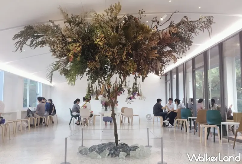 靜岡抹茶蜜檸微泡 / WalkerLand窩客島整理提供 未經許可，不得轉載