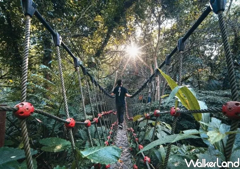 台北貓空景點 / WalkerLand窩客島整理提供 未經許可不可轉載