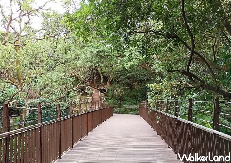 桃園龜山景點「虎頭山遊憩綠廊」 / WalkerLand窩客島整理提供 未經許可不可轉載