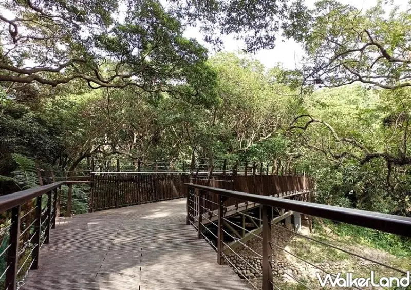 桃園龜山景點「虎頭山遊憩綠廊」 / WalkerLand窩客島整理提供 未經許可不可轉載