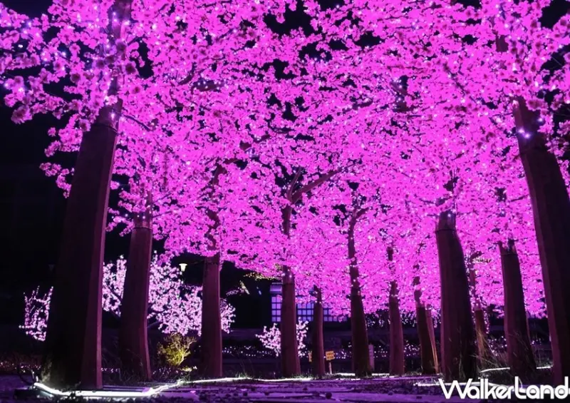 2020四重溪溫泉季 / WalkerLand窩客島整理提供 未經許可不可轉載