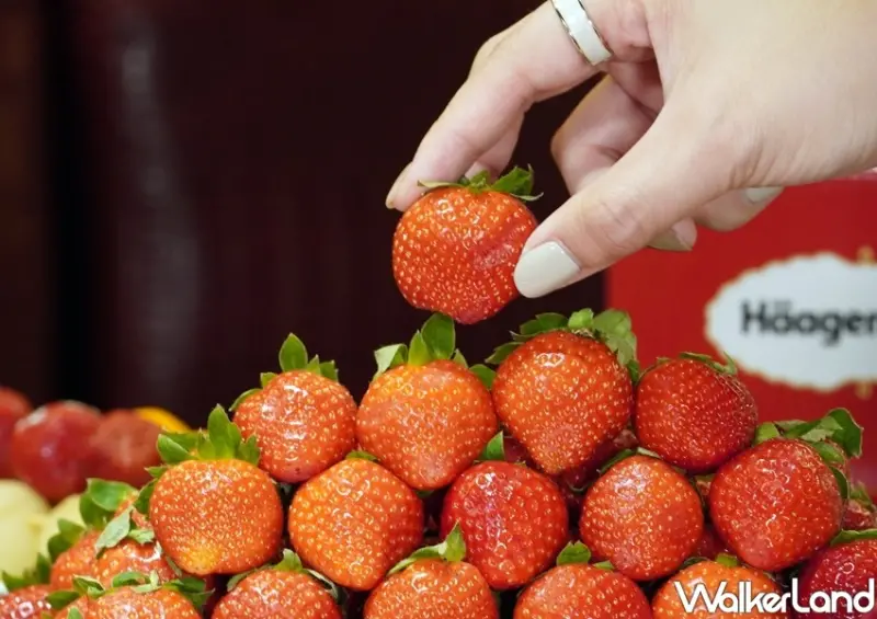 熊一燒肉、馬辣頂級麻辣鴛鴦火鍋「大湖草莓吃到飽」 / WalkerLand窩客島整理提供 未經許可不可轉載
