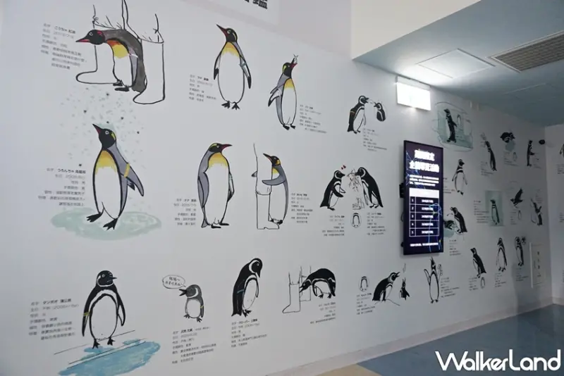 Xpark / WalkerLand窩客島提供 未經許可，不得轉載