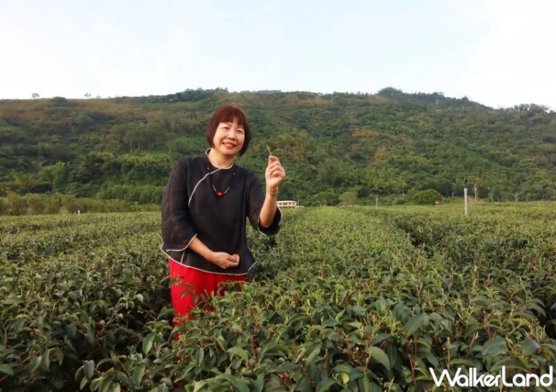 鐵路便當節 / WalkerLand窩客島提供 未經許可，不得轉載