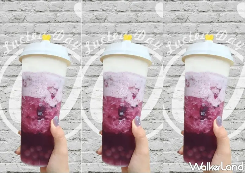 TrueWin初韻 雙11優惠活動 / WalkerLand窩客島整理提供 未經許可，不得轉載