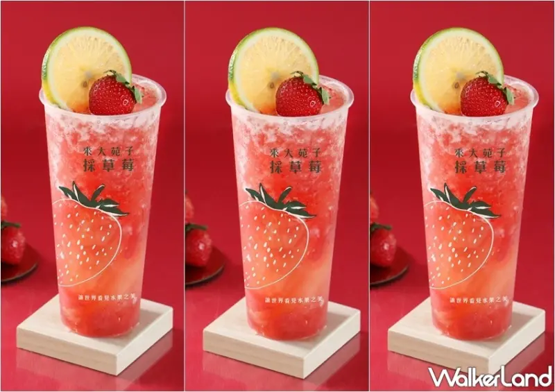 大苑子草莓季 / WalkerLand窩客島提供 未經許可，不得轉載