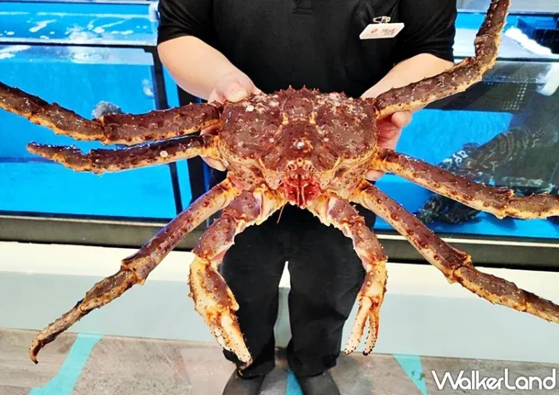 22:02 火鍋。樂活 / WalkerLand窩客島整理提供 未經許可，不得轉載