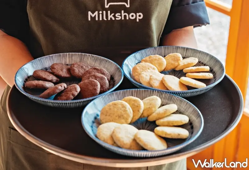 迷客夏 / WalkerLand窩客島提供 未經許可，不得轉載