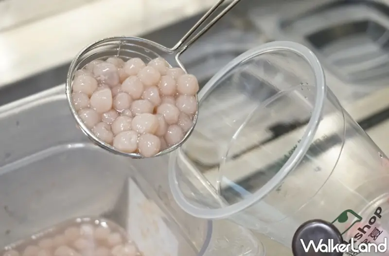 迷客夏 / WalkerLand窩客島提供 未經許可，不得轉載