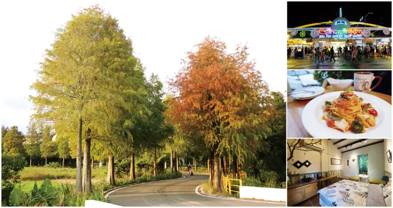 秋日桃園賞景輕旅行，漫步欣賞八德、大溪絕美落羽松，逛夜市、騎鐵馬、體驗巧克力工廠，換來2天1夜好心情。