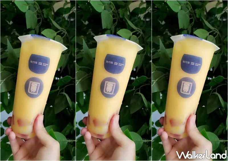 圓石 / WalkerLand窩客島整理提供 未經許可，不得轉載