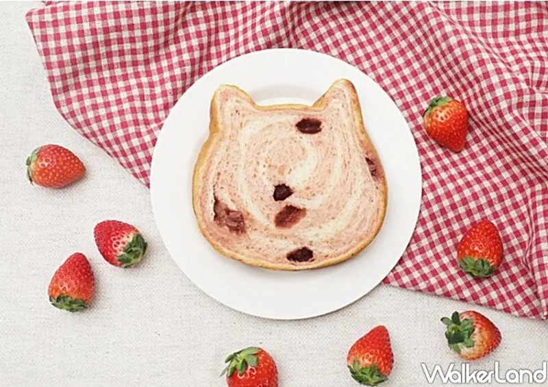 板橋大遠百「Nekoneko shokupan 貓咪吐司」 / WalkerLand窩客島整理提供 未經許可不可轉載