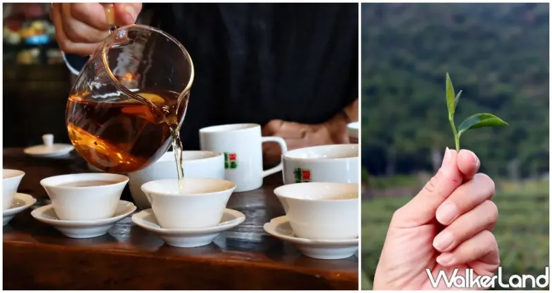 鐵路便當節 / WalkerLand窩客島提供 未經許可，不得轉載