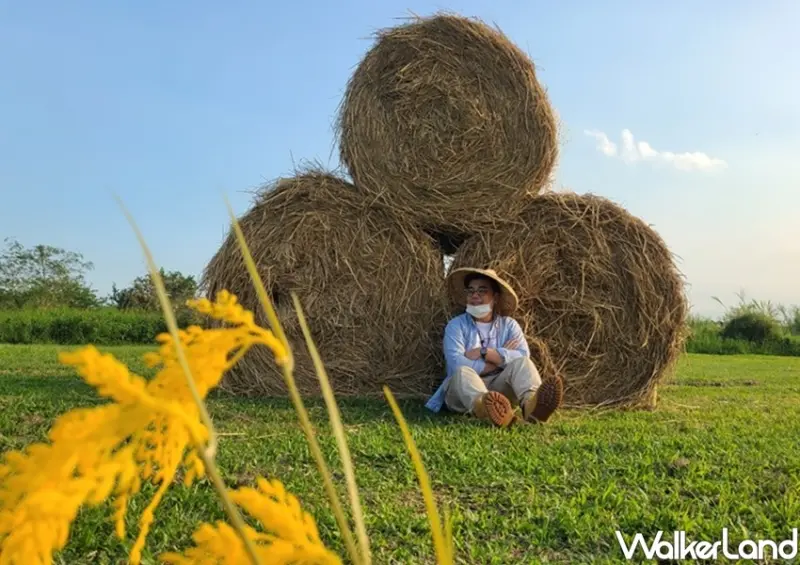 三重鴨鴨公園地景藝術展 / WalkerLand窩客島整理提供 未經許可不可轉載